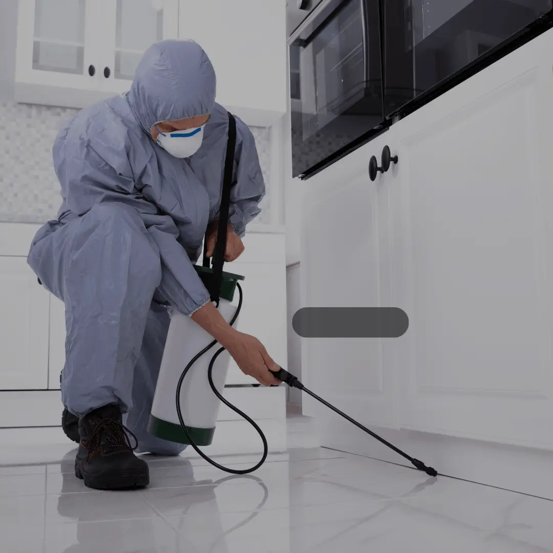 Pest Control Service