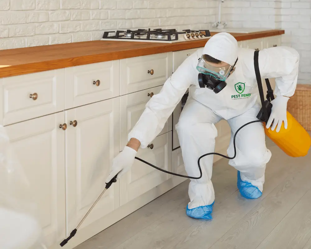 Termite-control-services